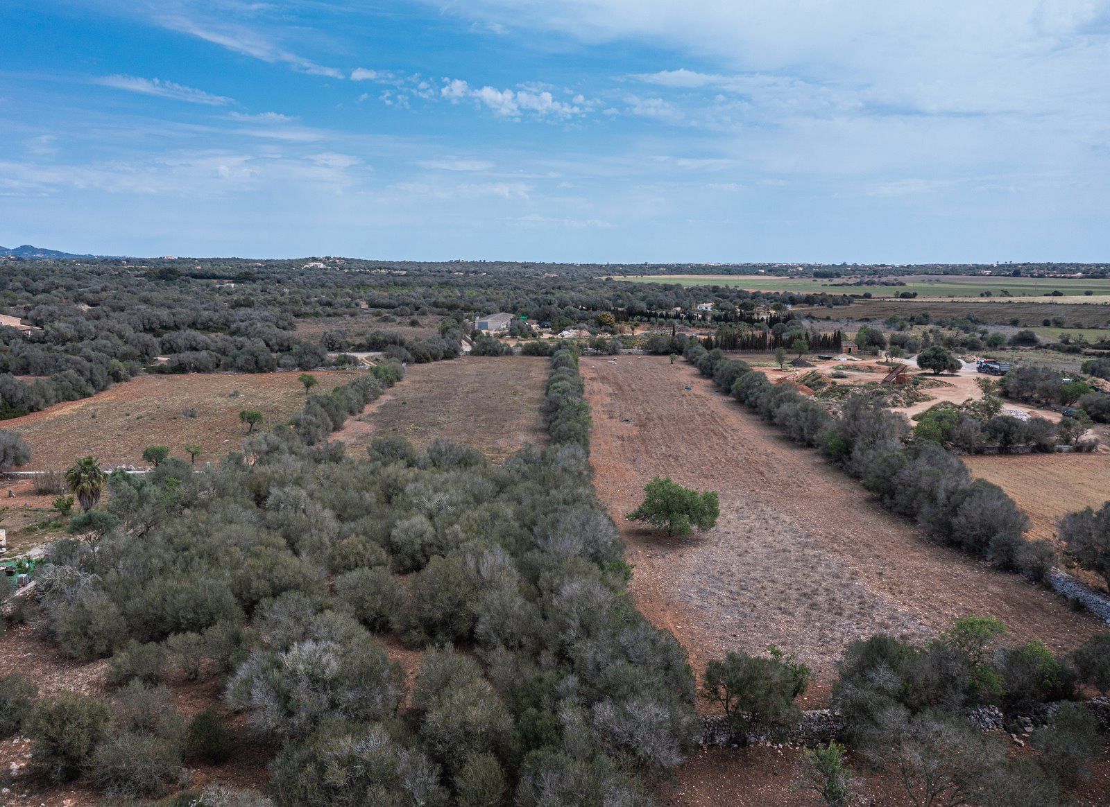 Baugrundstück 26.000 m² bei Ses Salines, Südmallorca