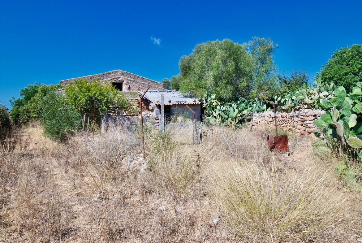Landhaus zum Renovieren in Ses Salines: Finca-Projekt auf Mallorca