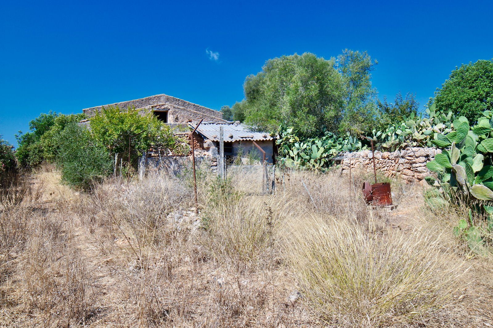 5-959-Villasyfincasmallorca.jpeg Landhaus zum Renovieren in Ses Salines: Finca-Projekt auf Mallorca