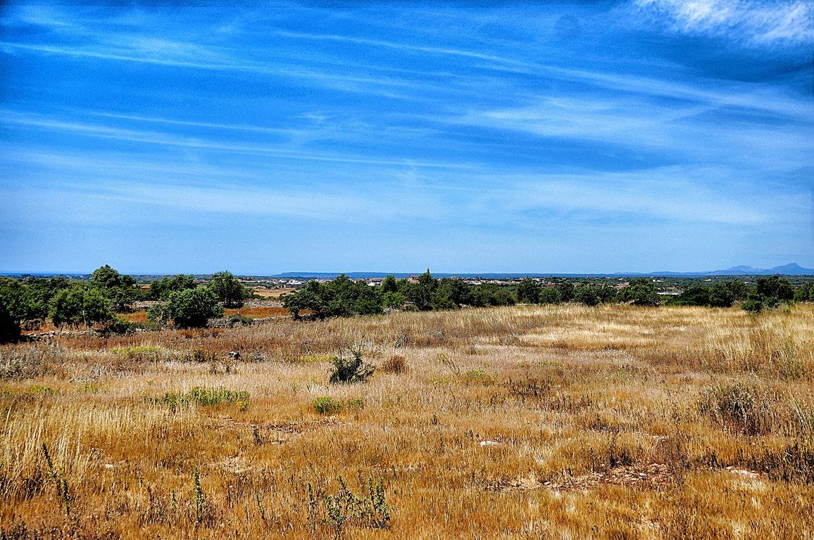 Terreno edificable con vistas al mar en Santanyí, 21.000 m²