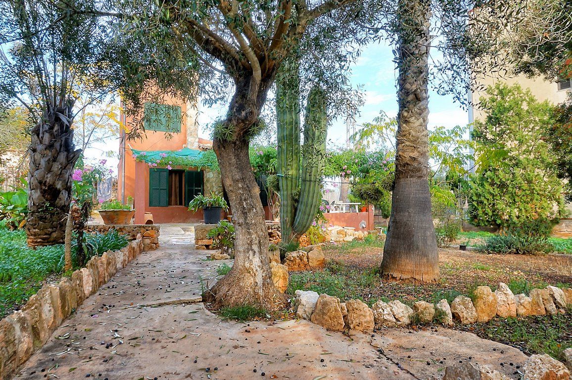 Dual-Unit House 450 m from Cala Mondragó Beach, Santanyí