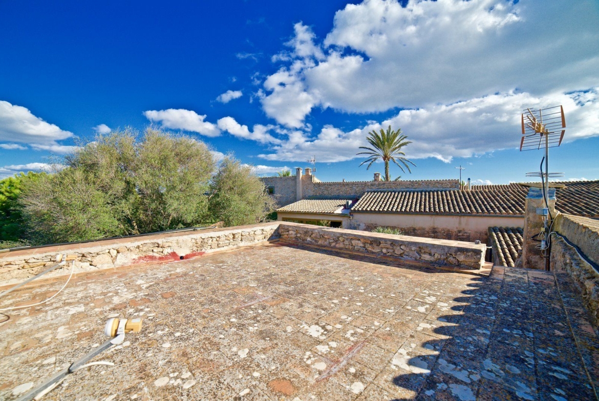 Charming Village House for Rent in Ses Salines with Garden
