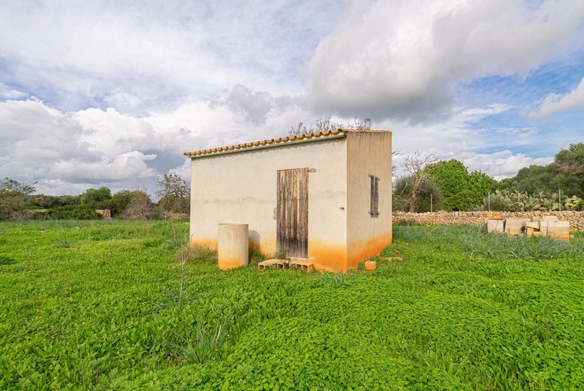 Country Cottage with Large Plot Near Ses Salines, Santanyí