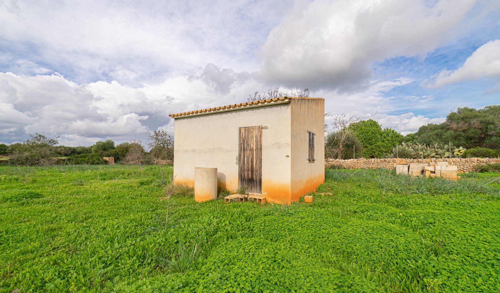 6-1233-Villasyfincasmallorca.jpg Country Cottage with Large Plot Near Ses Salines, Santanyí