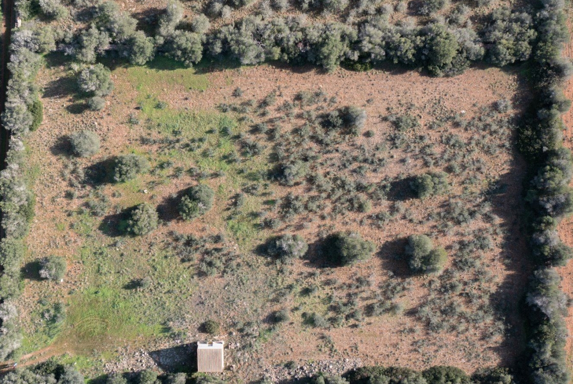 Baugrundstück 14.100 m² bei Ses Salines, Südmallorca