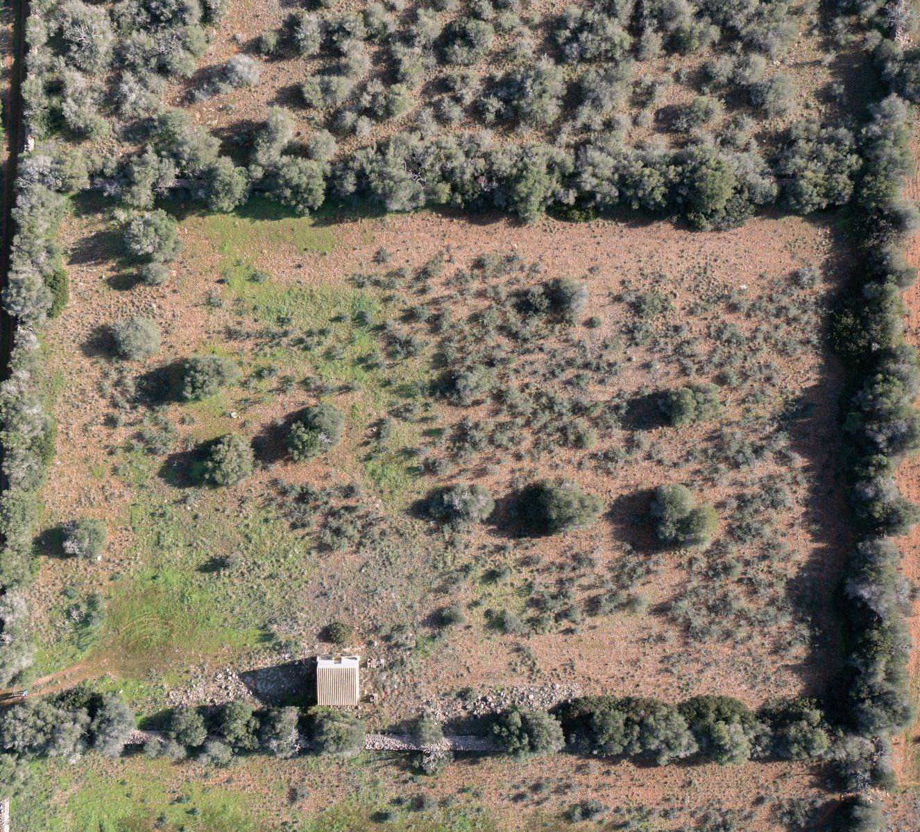 Baugrundstück 14.100 m² bei Ses Salines, Südmallorca