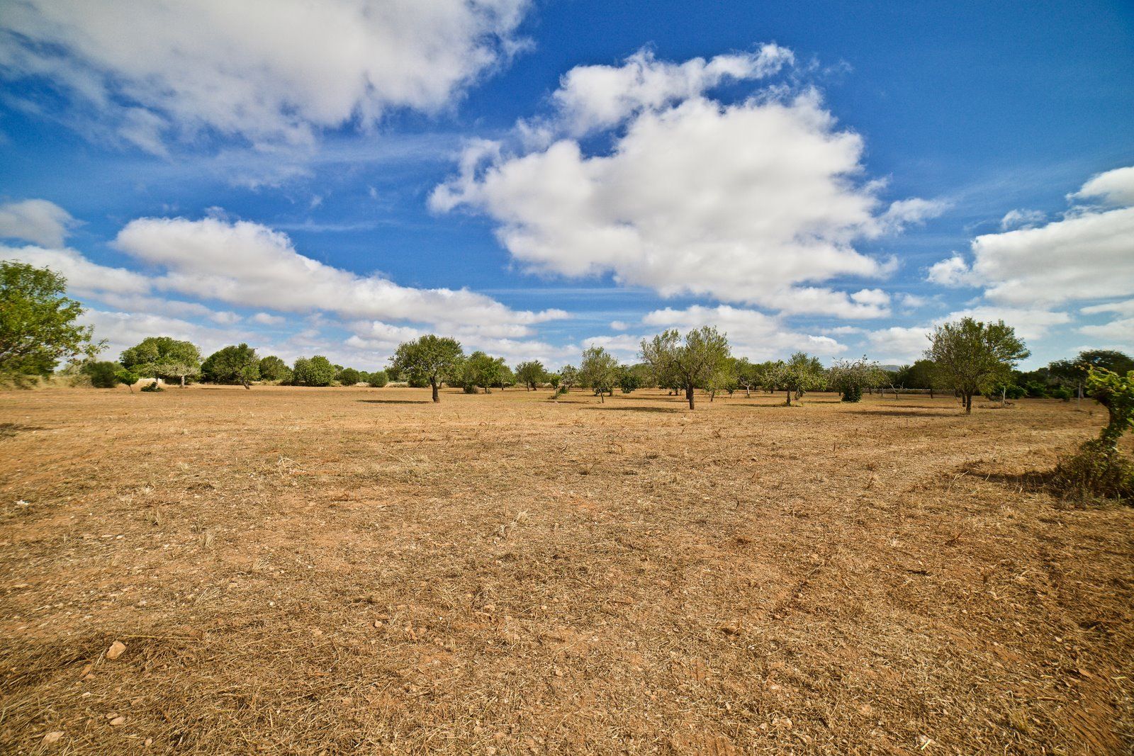 6-909-Villasyfincasmallorca.jpg Country House for Rent in Santanyí – Restored Mill on 15,000 m² Estate