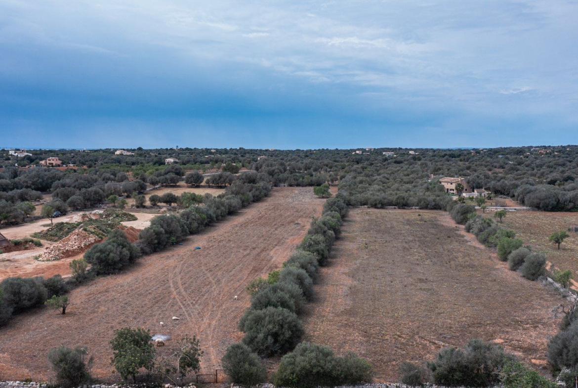 Baugrundstück 26.000 m² bei Ses Salines, Südmallorca