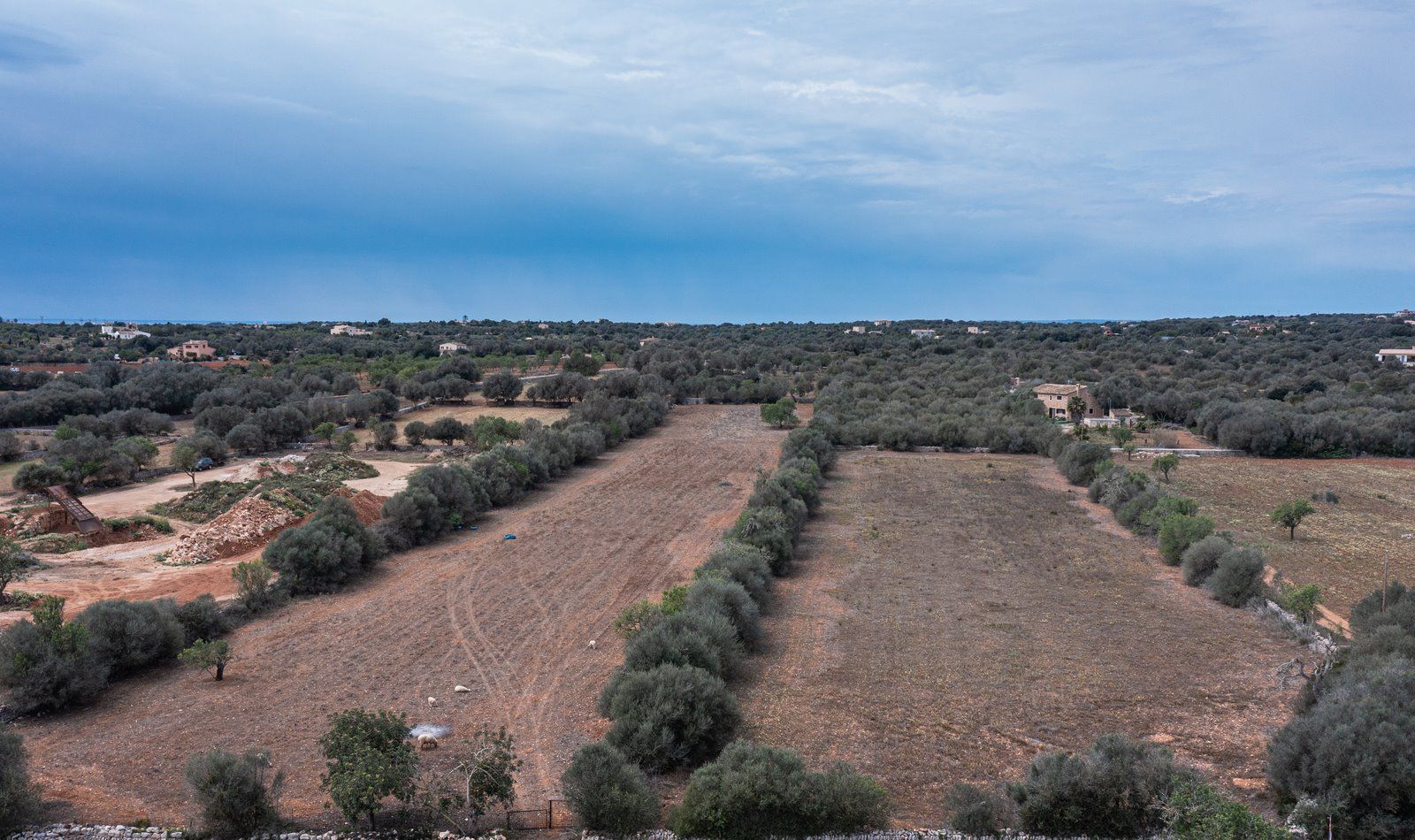 Baugrundstück 26.000 m² bei Ses Salines, Südmallorca