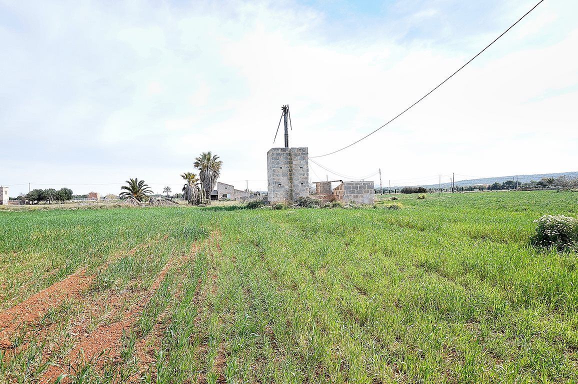 Casa de campo junto a Ses Salines con gran parcela