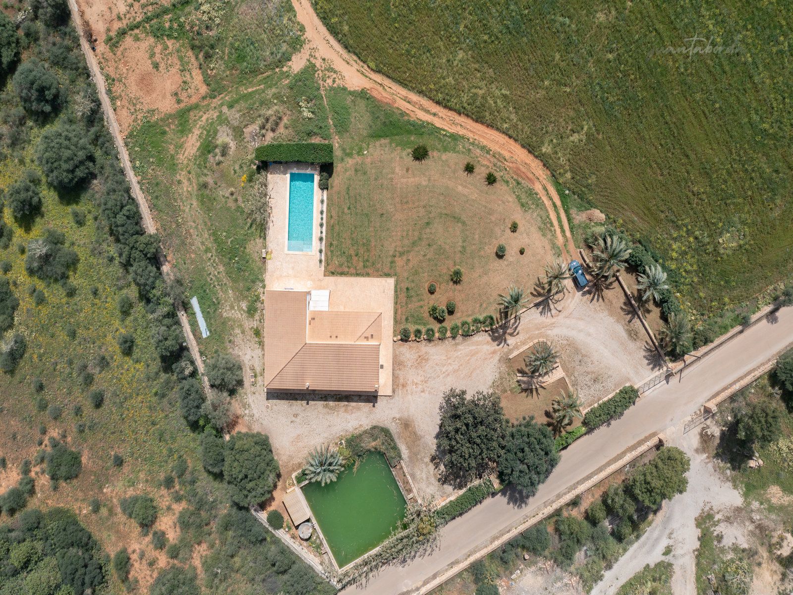 641-Casa-de-campo-con-piscina-en-alquiler-en-Ses-Salines-14.jpg Country House With Pool for Rent Near Ses Salines, Mallorca