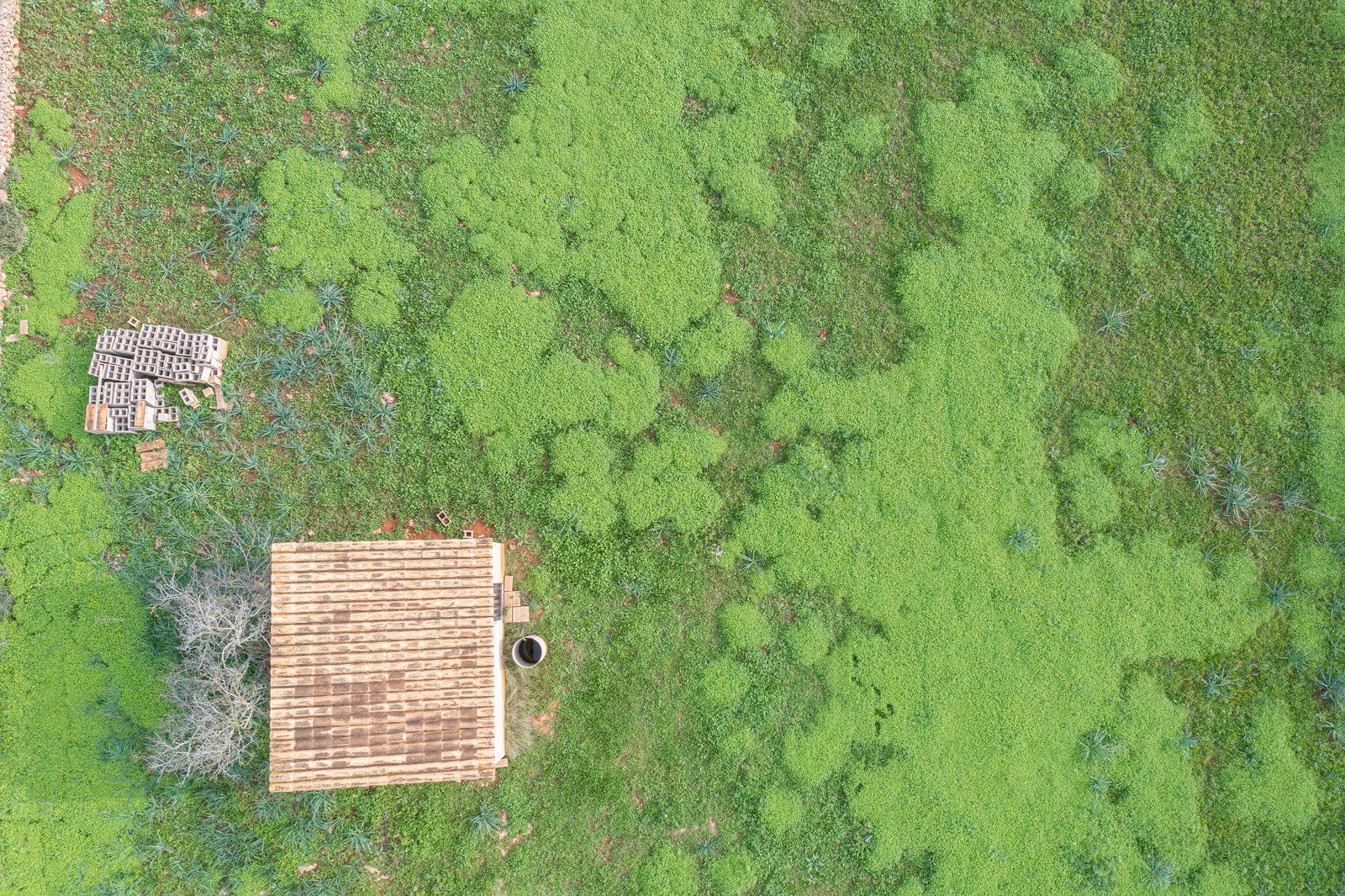 7-1233-Villasyfincasmallorca.jpg Country Cottage with Large Plot Near Ses Salines, Santanyí
