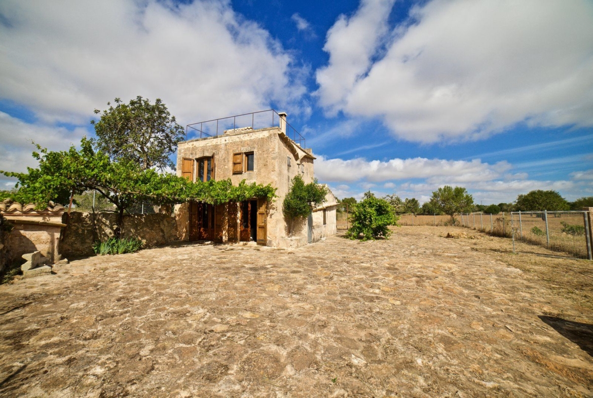 Country House for Rent in Santanyí – Restored Mill on 15,000 m² Estate