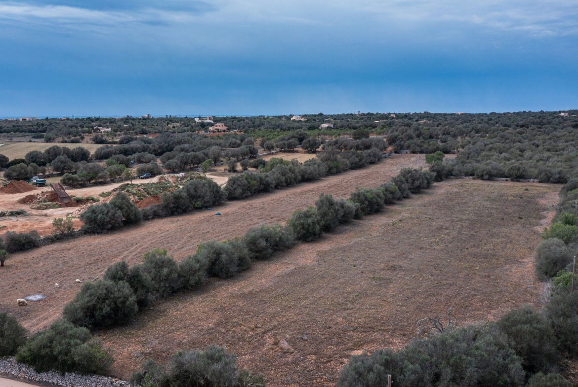 Baugrundstück 26.000 m² bei Ses Salines, Südmallorca