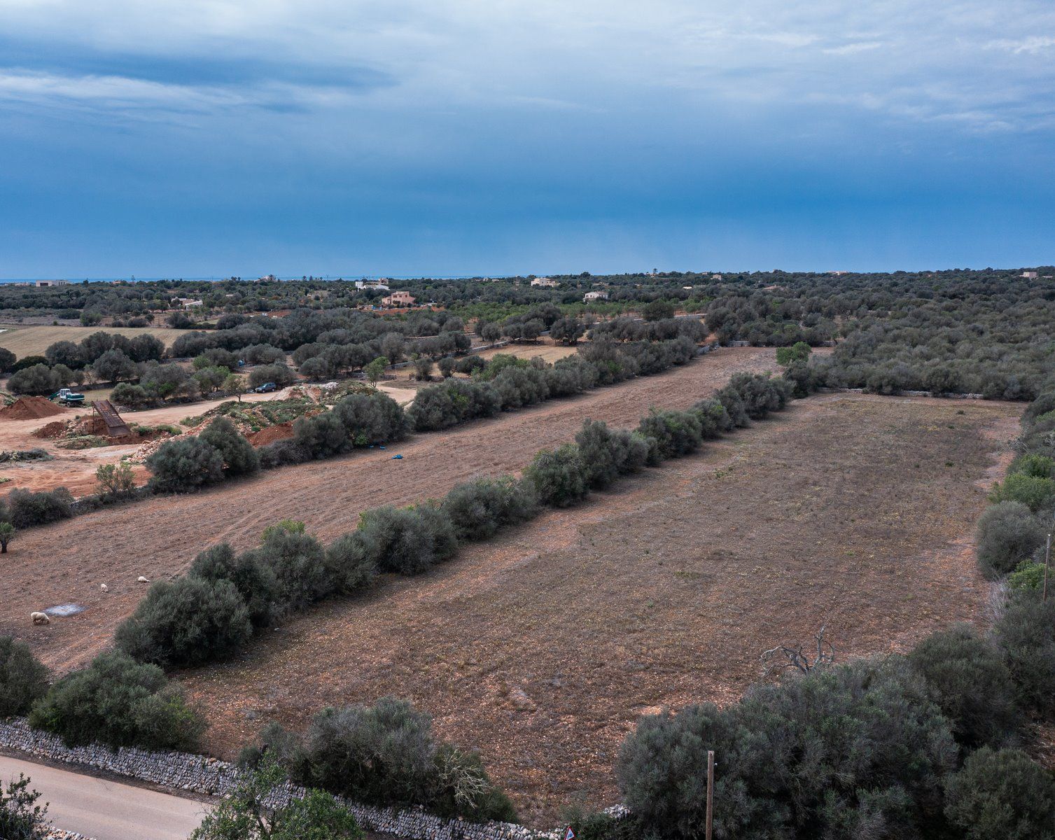 Baugrundstück 26.000 m² bei Ses Salines, Südmallorca