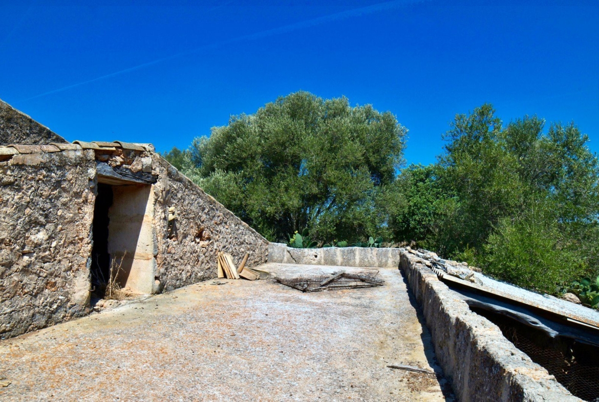 Landhaus zum Renovieren in Ses Salines: Finca-Projekt auf Mallorca