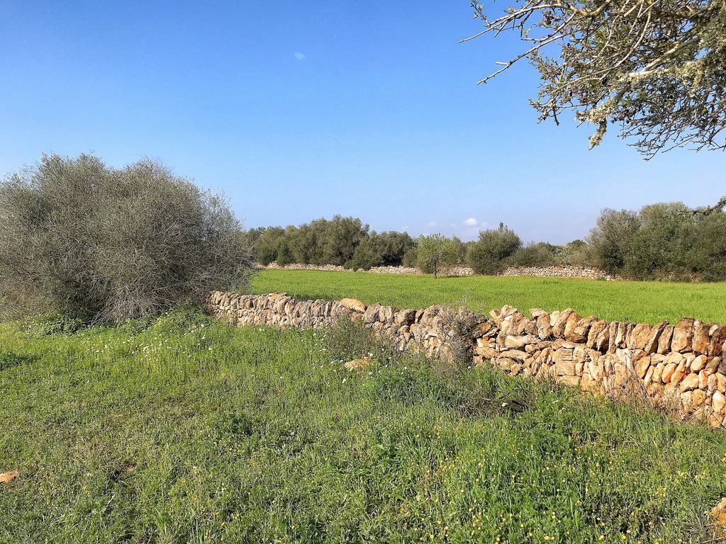 Buildable Land in Ses Salines | 14,463 m² Rural Plot