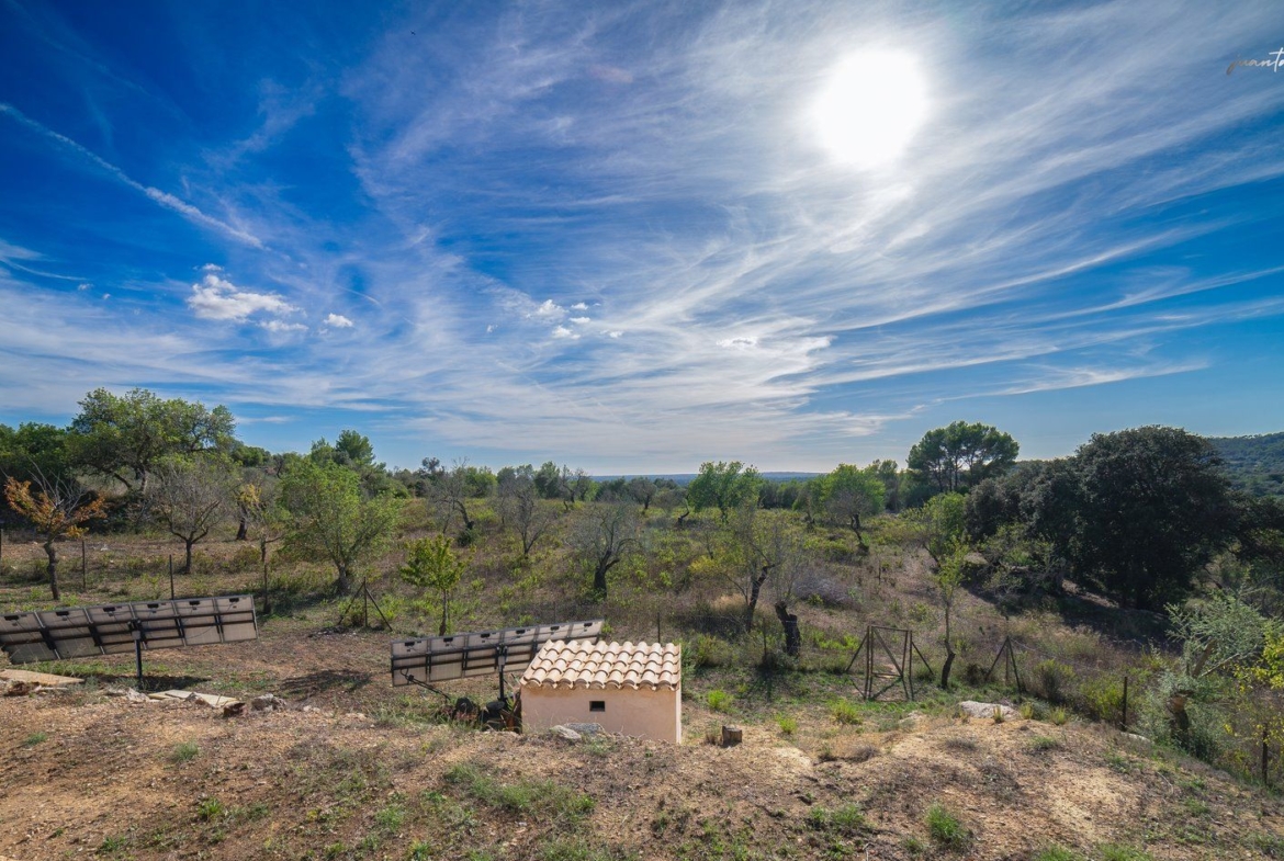Casa de campo en Llucmajor con vistas a la montaña y 14.000 m²