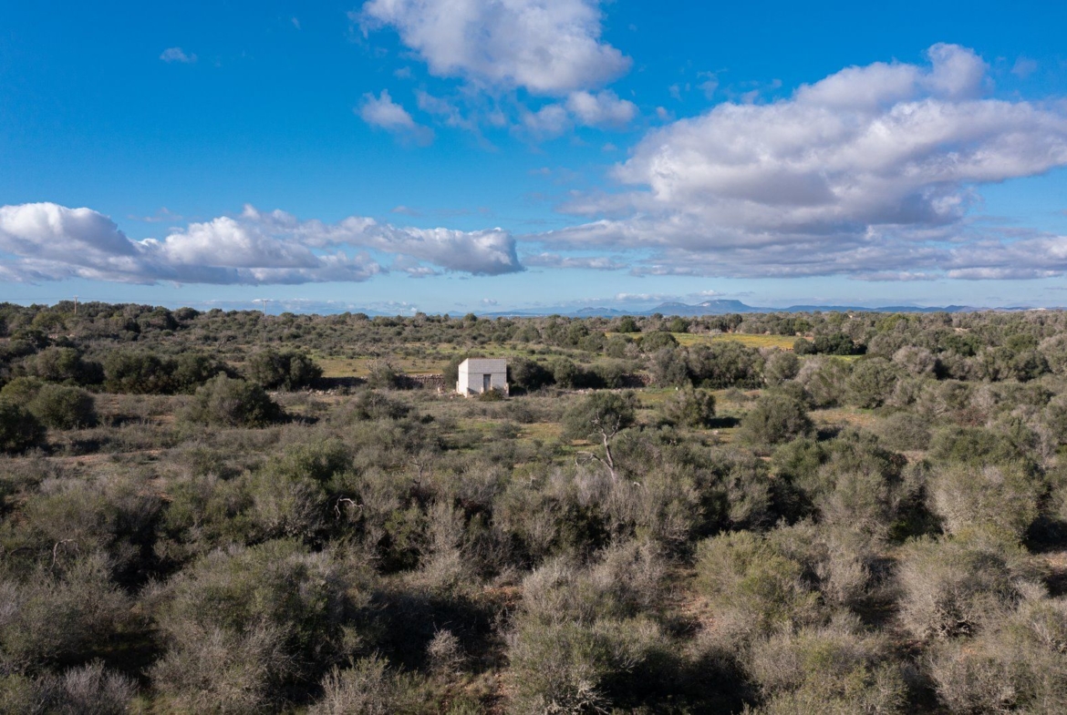 Baugrundstück 14.100 m² bei Ses Salines, Südmallorca