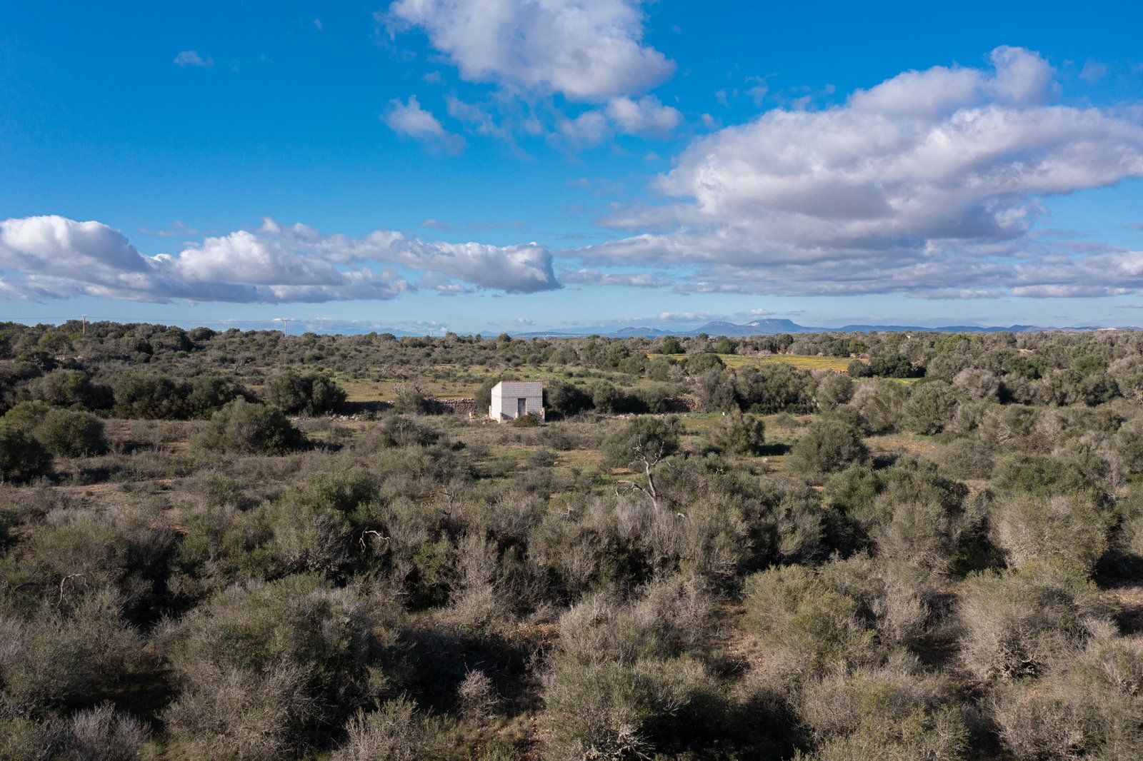 Baugrundstück 14.100 m² bei Ses Salines, Südmallorca