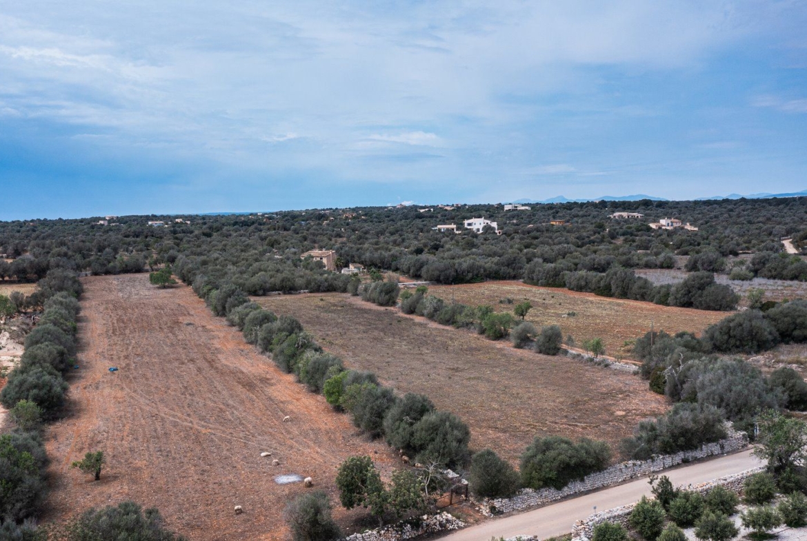 Baugrundstück 26.000 m² bei Ses Salines, Südmallorca