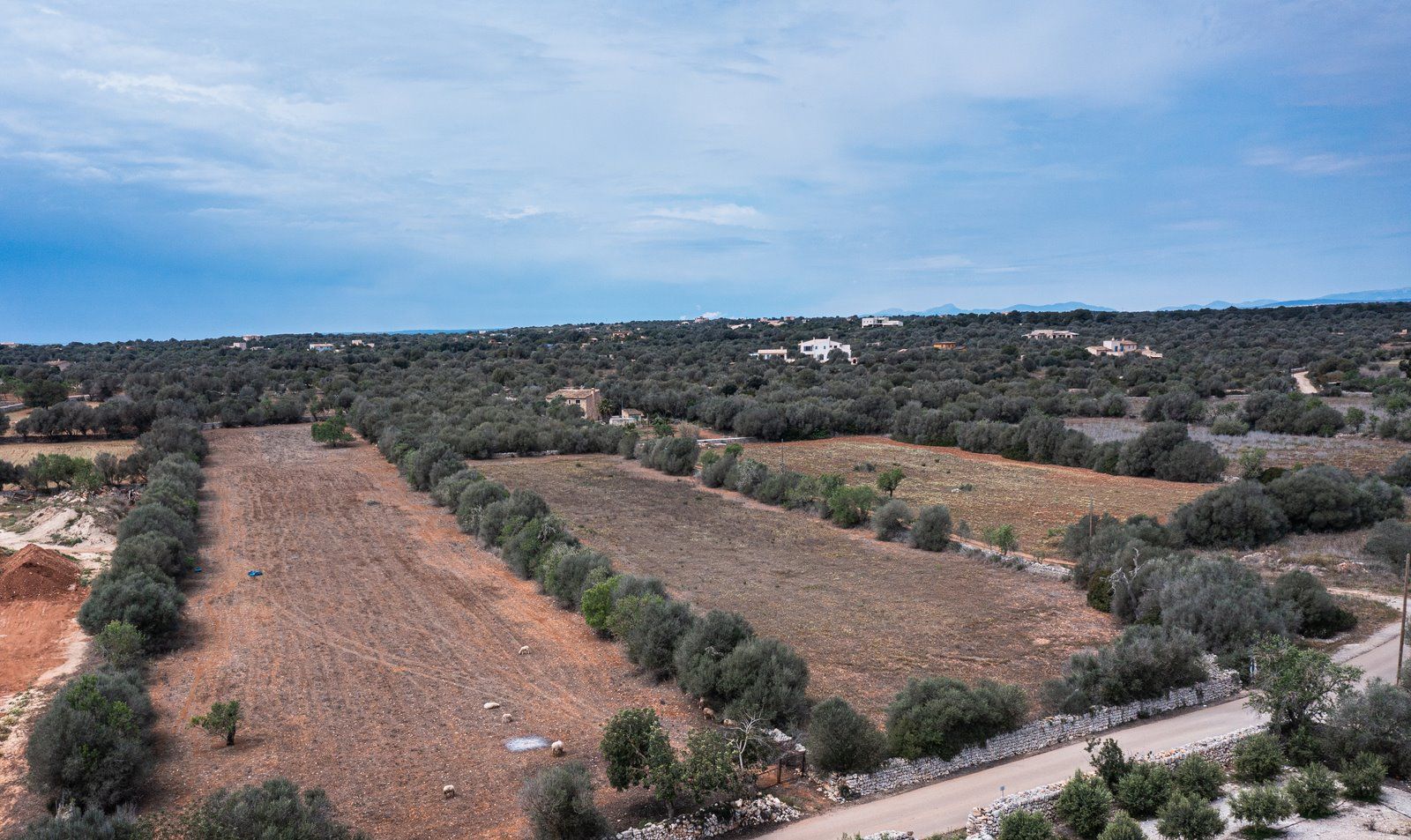 Baugrundstück 26.000 m² bei Ses Salines, Südmallorca