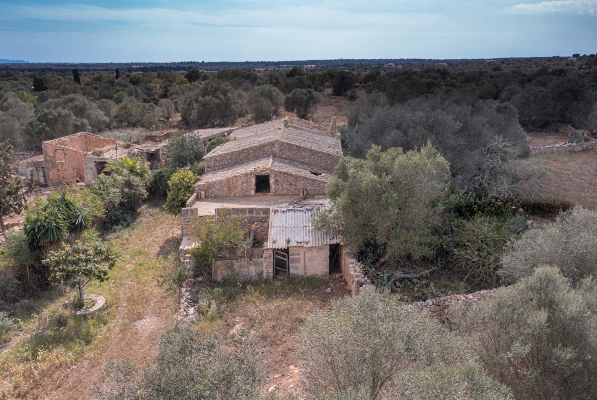 Landhaus zum Renovieren in Ses Salines: Finca-Projekt auf Mallorca