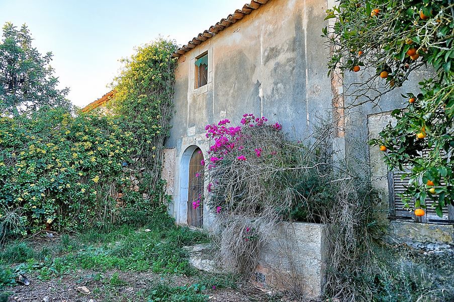 Landhaus zum Renovieren in Ses Salines: Finca-Projekt auf Mallorca