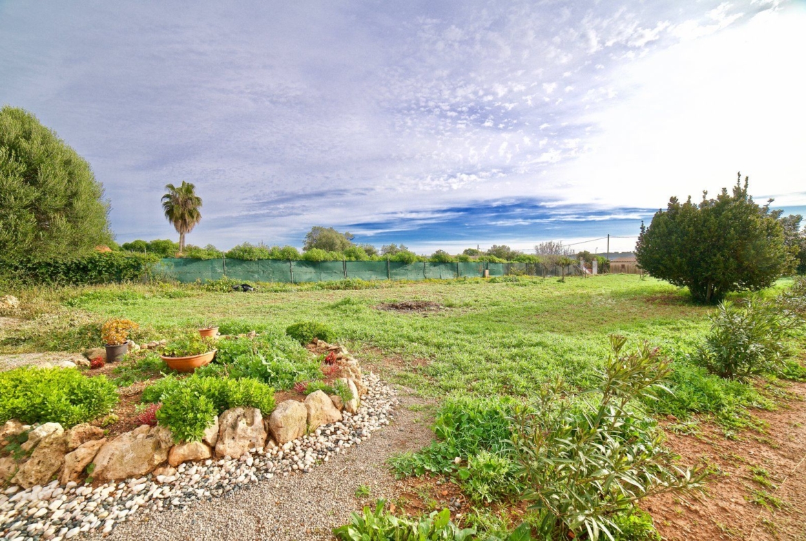 Country House for Rent Near Ses Salines, Campos, Mallorca