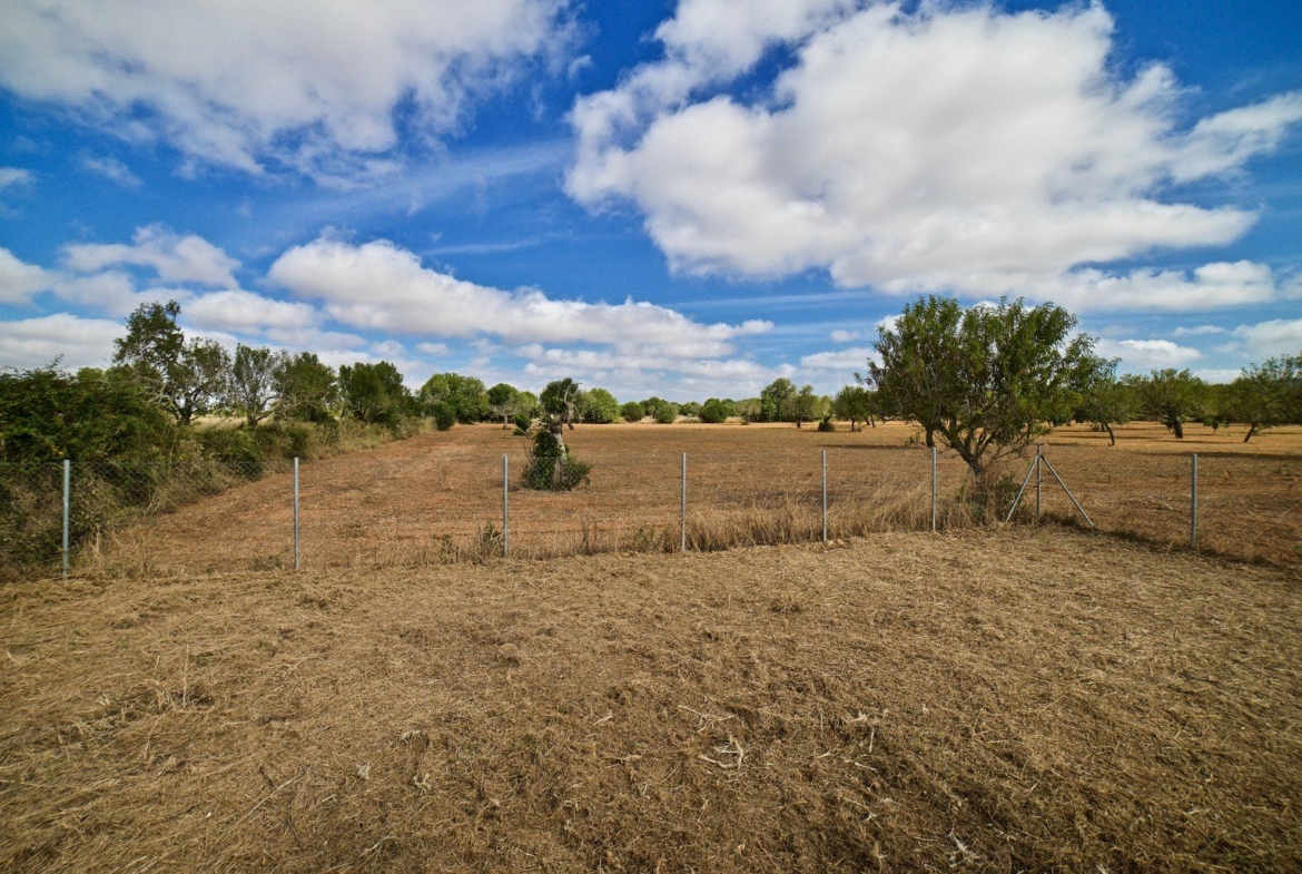 Country House for Rent in Santanyí – Restored Mill on 15,000 m² Estate