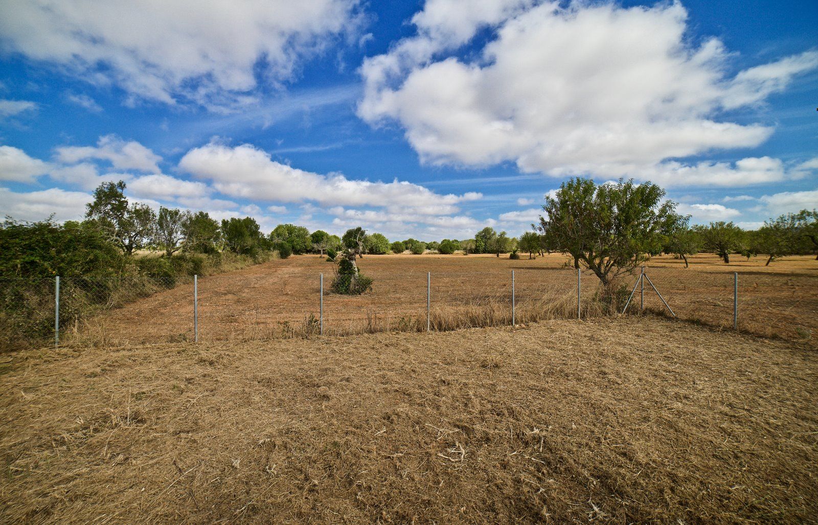 9-909-Villasyfincasmallorca.jpg Country House for Rent in Santanyí – Restored Mill on 15,000 m² Estate