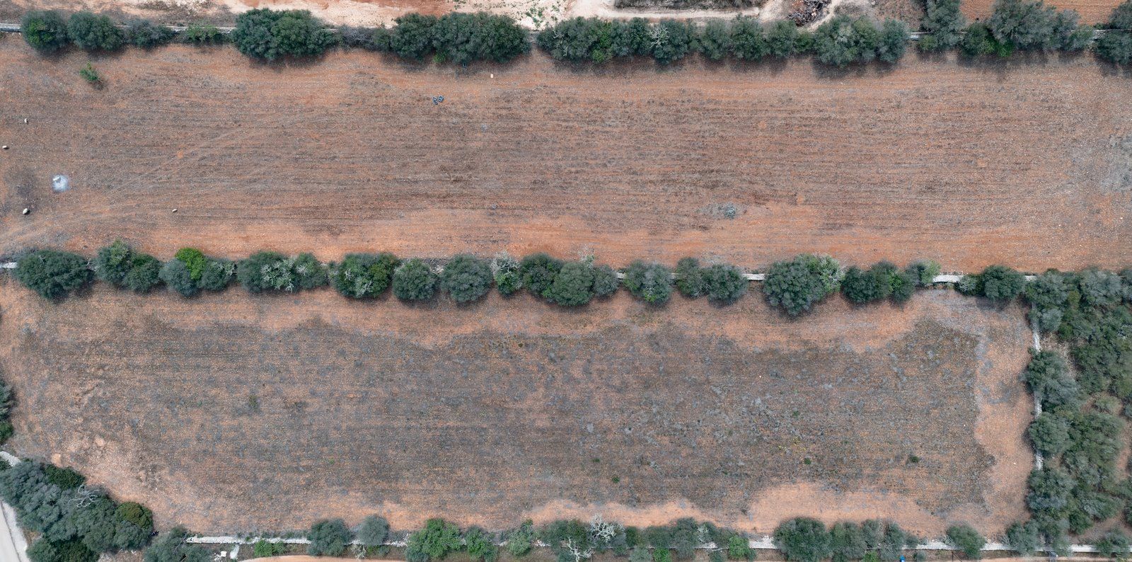 Baugrundstück 26.000 m² bei Ses Salines, Südmallorca