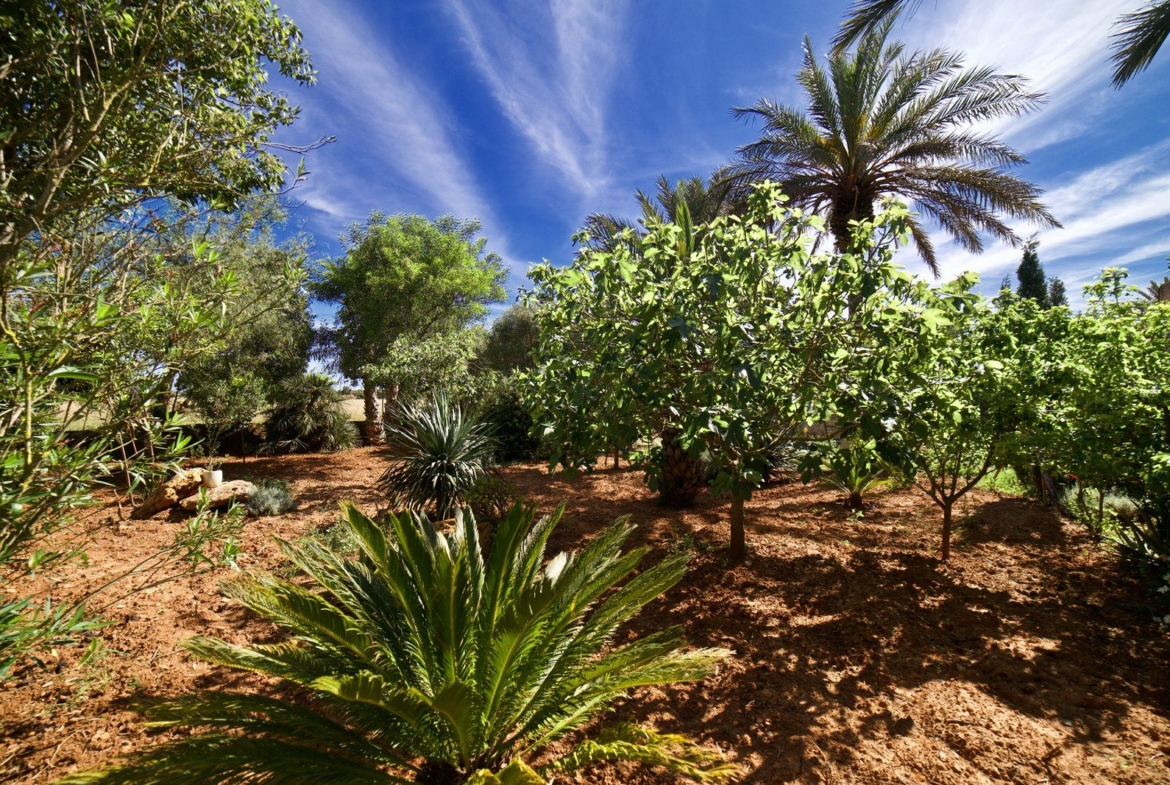 Landhaus zur Miete nahe Es Trenc, Campos – Südmallorca