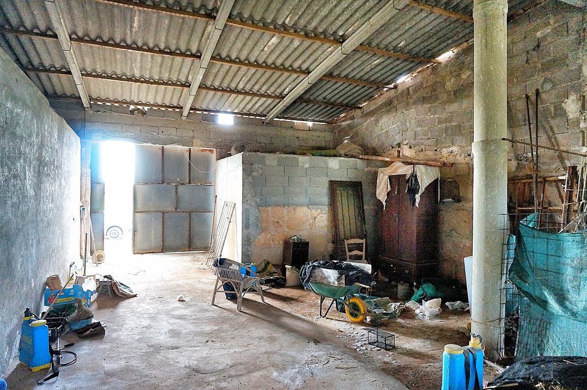 Rustic Finca with Windmill Tower Near Ses Salines
