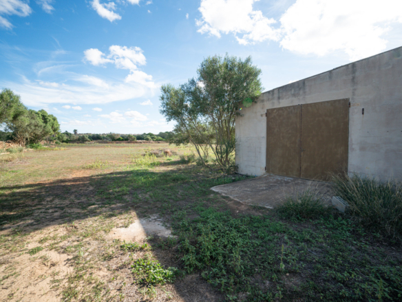 Terreno rústico junto a Ses Salines — 14.200 m², acceso asfaltado, agua de red