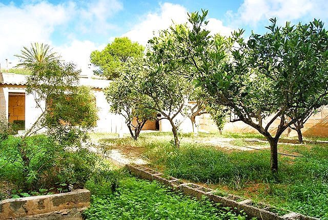 Casa de pueblo con jardín en Ses Salines · 3 hab.
