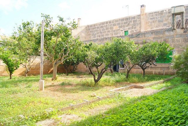 Casa de pueblo con jardín en Ses Salines · 3 hab.