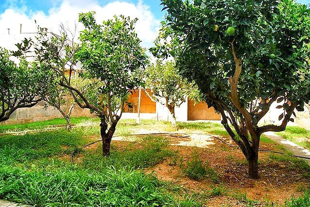 Casa de pueblo con jardín en Ses Salines · 3 hab.