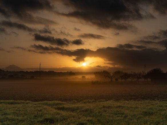Amanecer con niebla sobre los campos del Pla de Mallorca