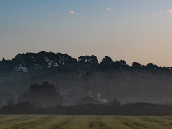 Campos y un pueblo del Pla de Mallorca entre la niebla al amanecer