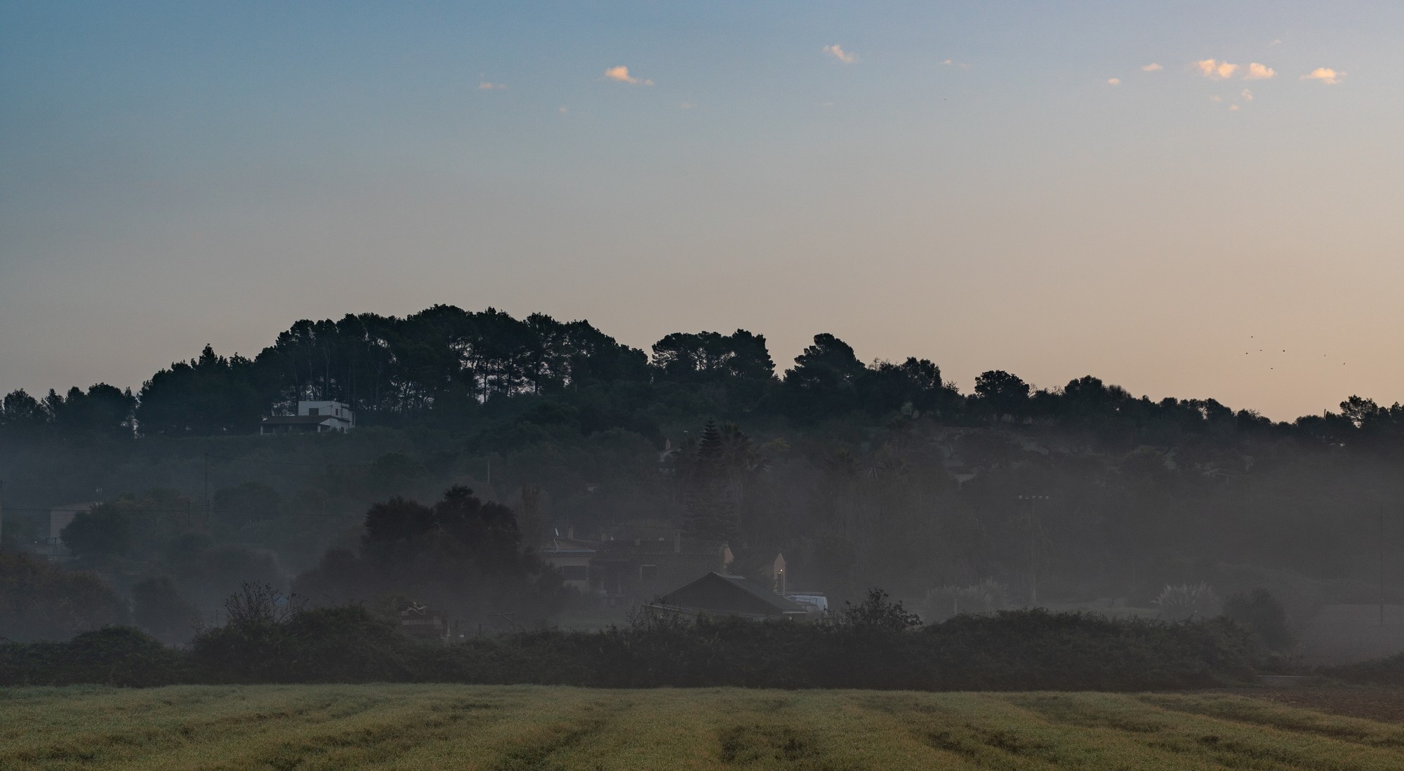 Campos y un pueblo del Pla de Mallorca entre la niebla al amanecer